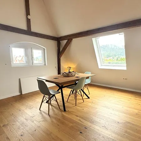公寓 Design Loft Mit Stadtblick 弗赖堡
