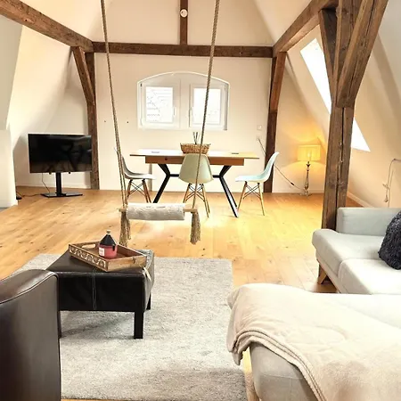 公寓 Design Loft Mit Stadtblick 弗赖堡