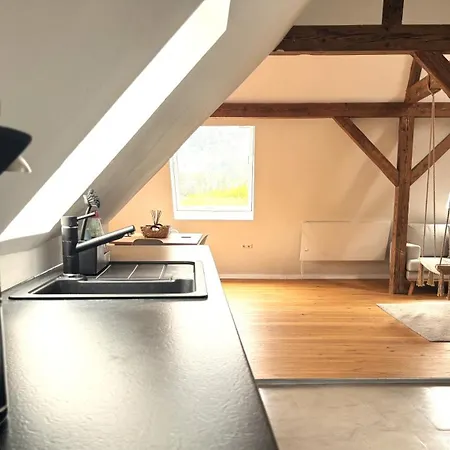 公寓 Design Loft Mit Stadtblick 弗赖堡