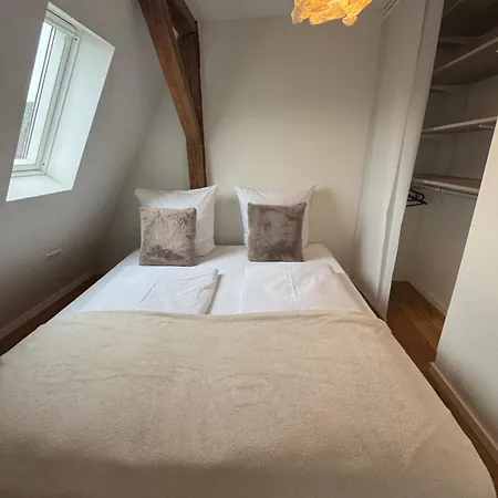 Design Loft Mit Stadtblick 公寓 弗赖堡