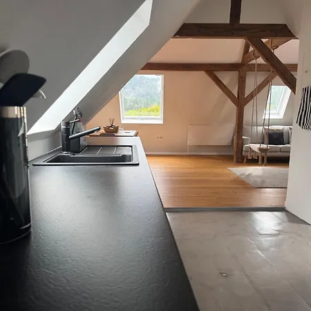Design Loft Mit Stadtblick 公寓 弗赖堡