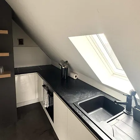 דירה Design Loft Mit Stadtblick פרייבורג